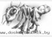 Грузчики Минск, грузоперевозки, переезд офиса